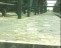 AFTER SITE RESTORATION AT SOKU GAS PLANT